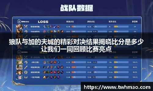 狼队与加的夫城的精彩对决结果揭晓比分是多少让我们一同回顾比赛亮点